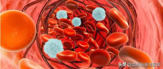 血小板只有一个怎么办,血小板个位数意味着什么