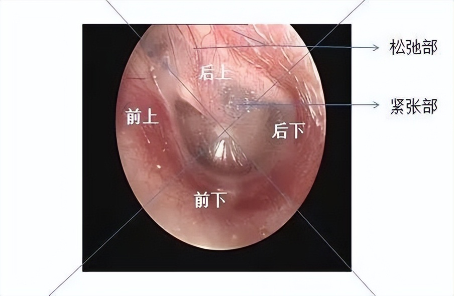 小石头学习视频,小石头学武术疼哭