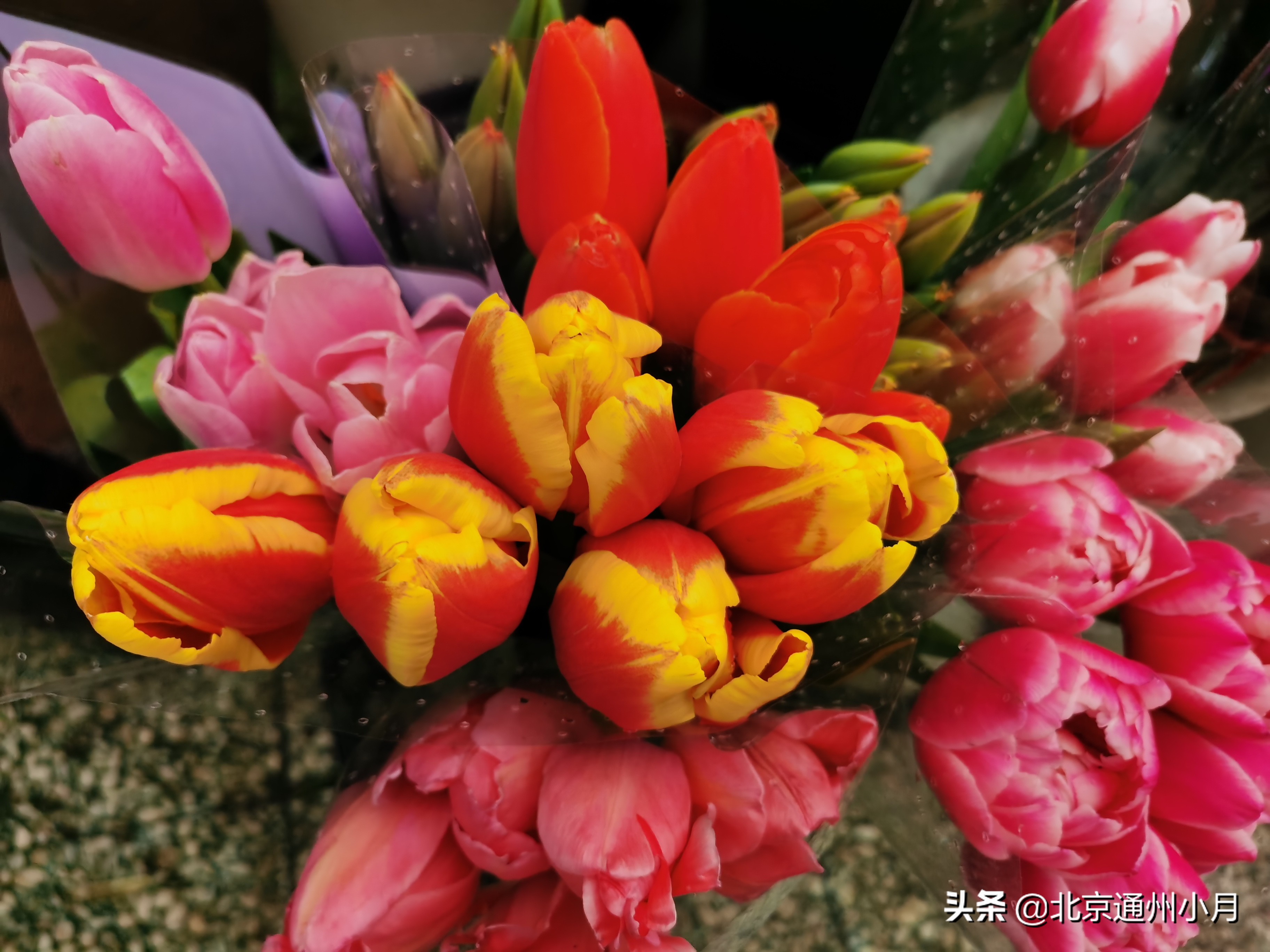 北京周边大型花市,北京花市推荐