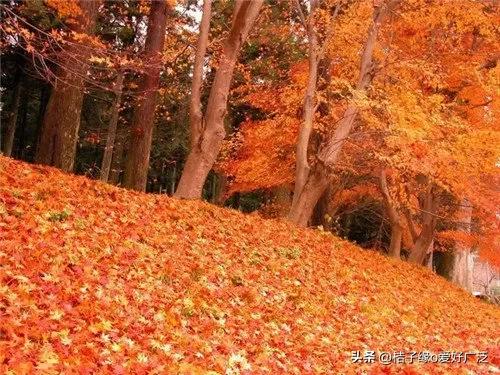 何为真正的读书人,什么是读书人的使命