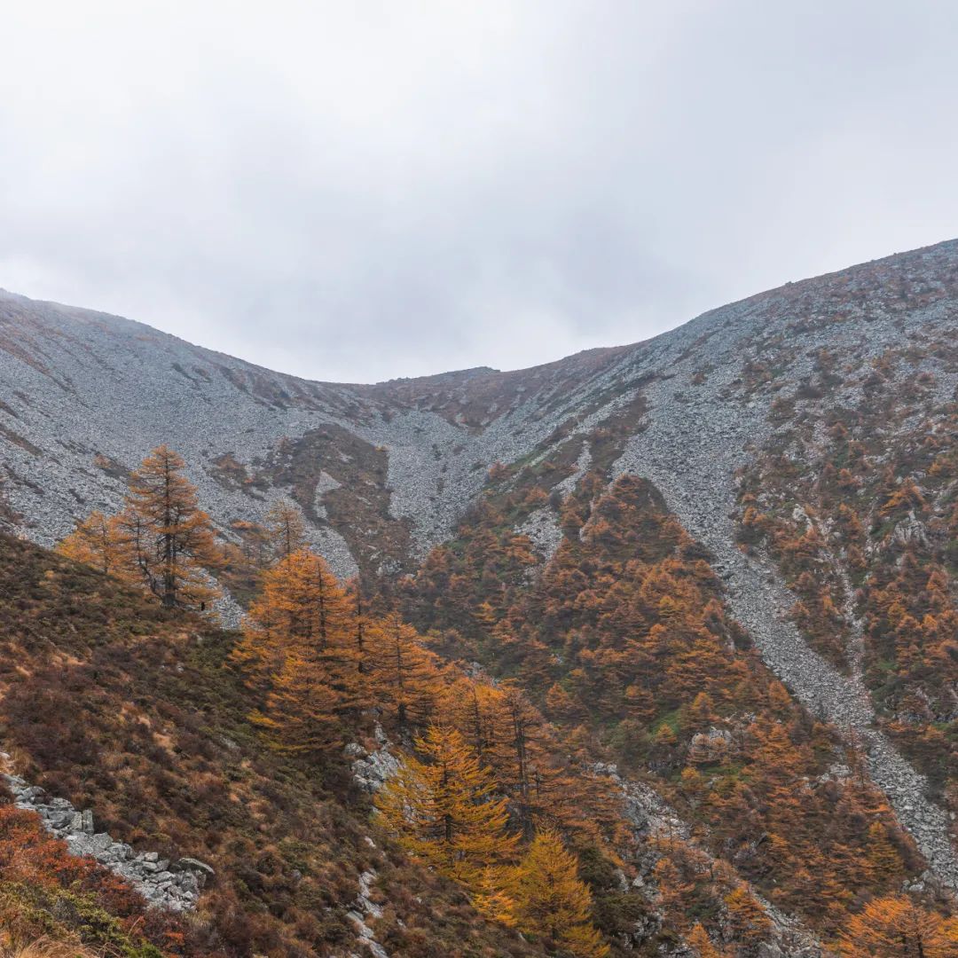 太白山是陕西最高点吗,秦岭最高峰太白山