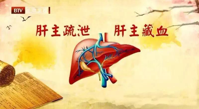 养肝草有降血压的功效,养肝降压神奇良药