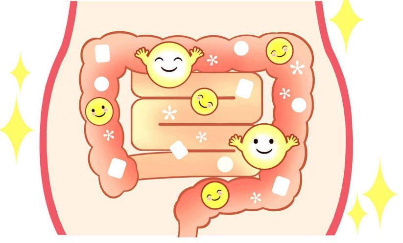 踮脚跟八百年的养生法,踮脚尖养生功法