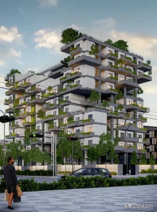 waf2023世锦赛,waf国内排名