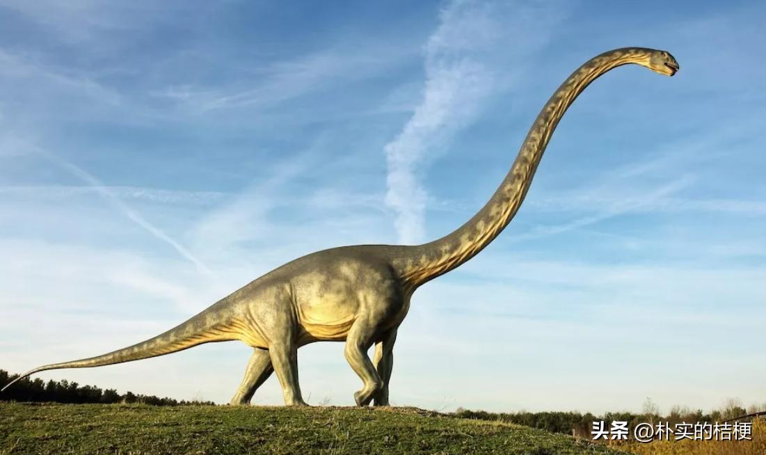 恐龙化石复原的错误,恐龙的错误复原