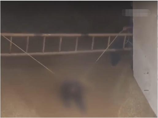 大米加工厂安全隐患,大米安全事件视频