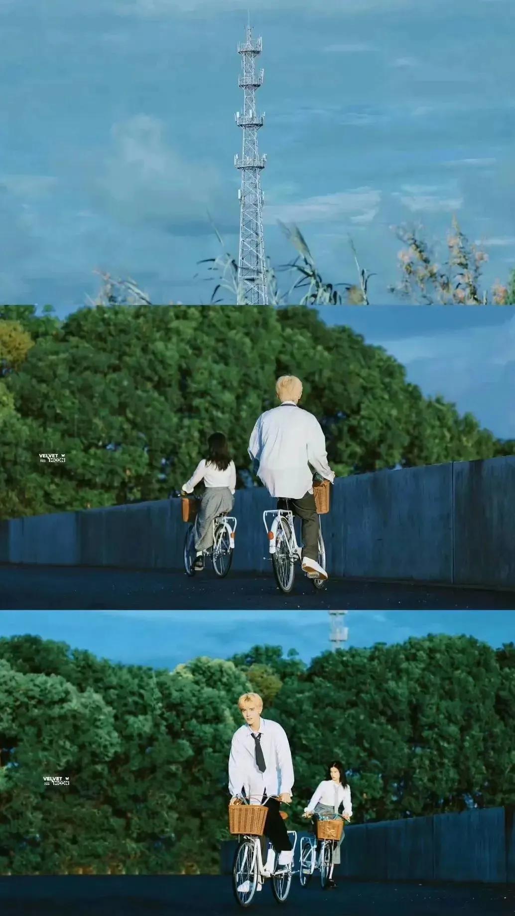 我可以单身但我的cp必须结婚,我可以单身但我的cp一定要结婚