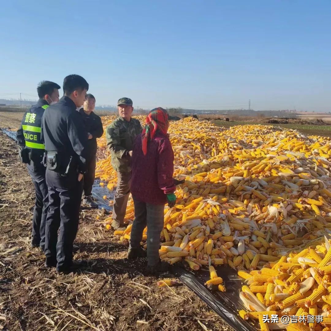 秋意渐凉警色犹暖,秋意浓秋亦暖图片大全