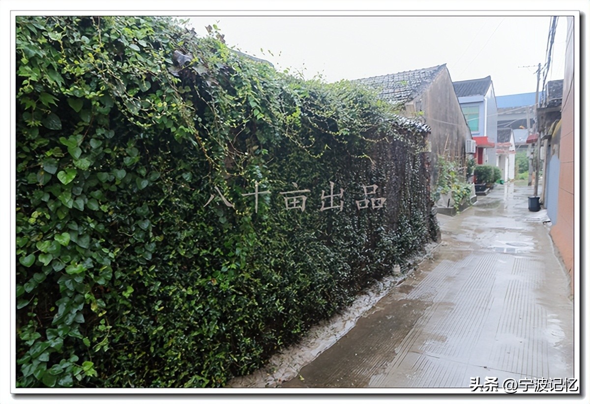 宁波大碶街道青山村,大碶清水村