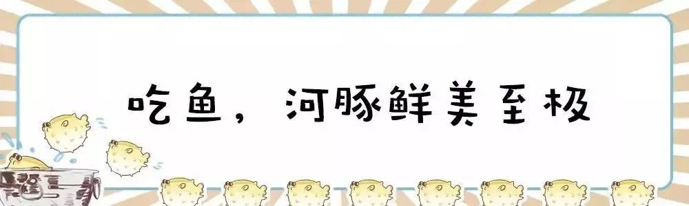 滋补甲鱼锅图片,招牌滋补河豚