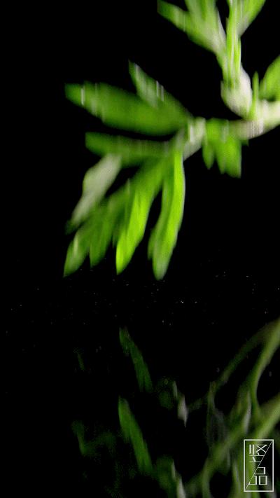 读散文成长,春天里的成长散文