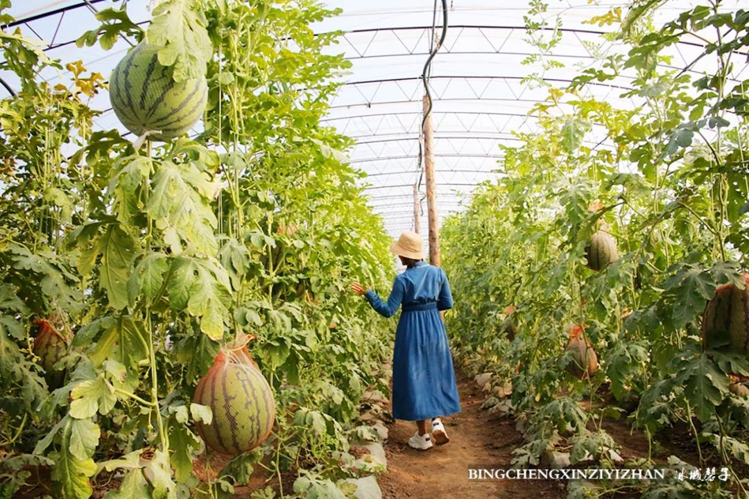中俄边境线上的小城：逊克，披着“红珠绿边银装”的生态边城