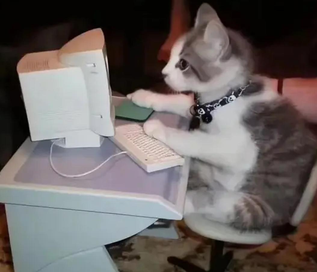 电脑应该学会的技能,电脑高手必会技能