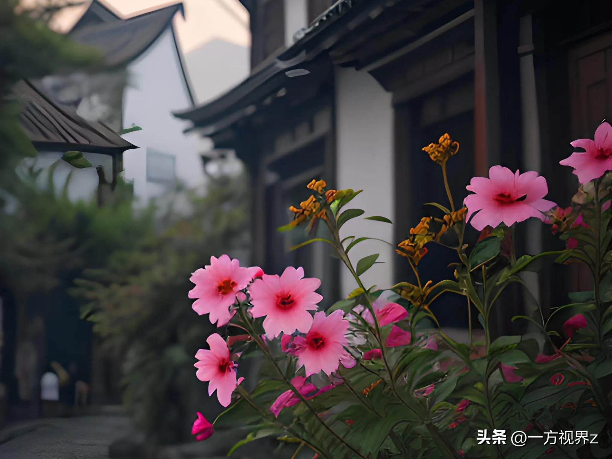 处在社会最底层的人,处在社会顶层的人