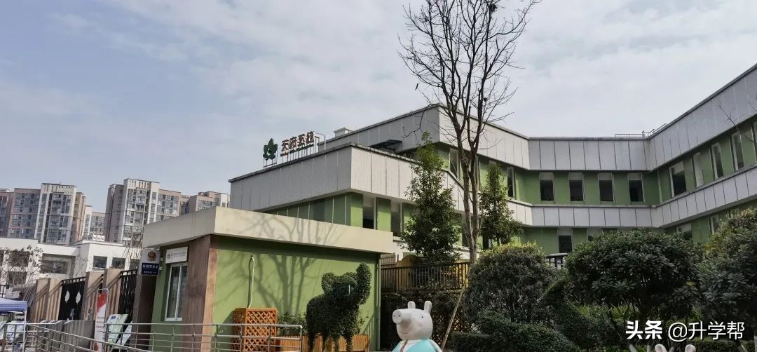天府新区3所标杆学校,成都天府新区学校有哪些