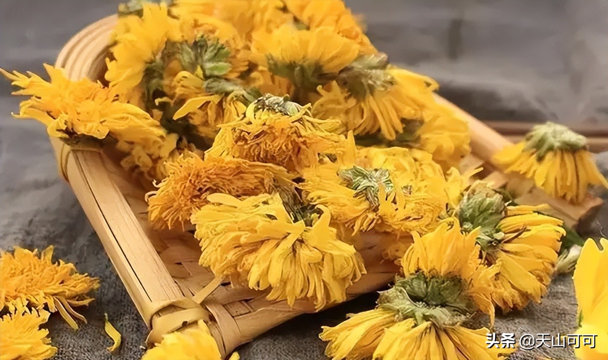 菊花茶分哪几种夏天喝哪种更好,夏天喝冬瓜茶好还是喝菊花茶好