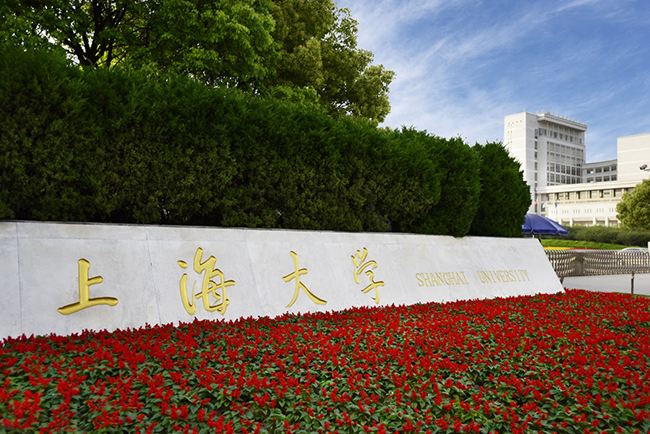 上海市985及211的学校有哪些,上海211大学排名一览表及分数线