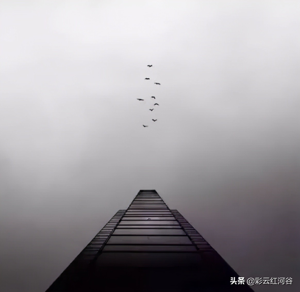 自我介绍学到什么,这份自我介绍秘籍你学到了吗