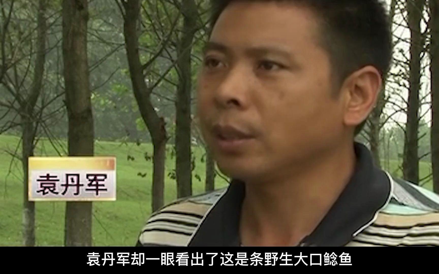 男子花20万买一条鲶鱼3年狂赚上亿,湖北小伙花20万买个鲶鱼