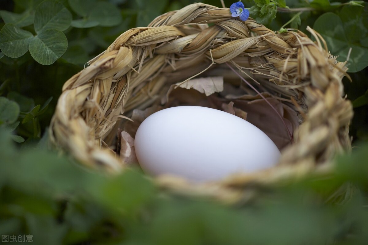 盘古开天辟地后诞生的神,盘古是从一个蛋里面生出来的吗