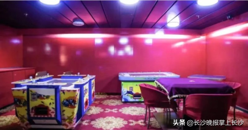 新郁金香号邮轮,郁金香号邮轮如何