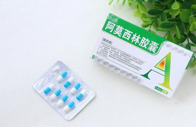 阿莫西林别乱吃只对四种病有效,阿莫西林只对6种疾病有效