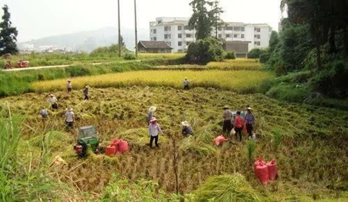 男子私吞女友500万彩票完整视频,男子私吞600万彩票