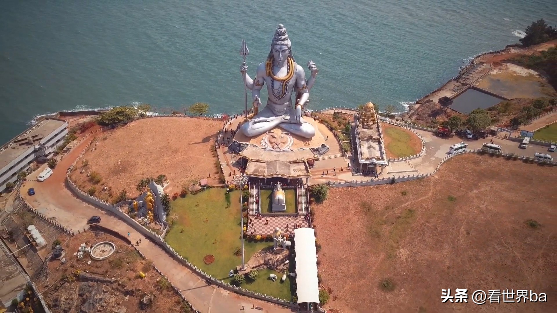 印度牛粪饼多少钱一只,印度牛粪饼一盒205元经常卖到脱销