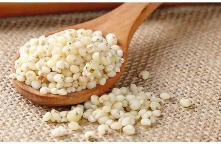 粗粮高粱米,五谷杂粮的高粱米是什么样的