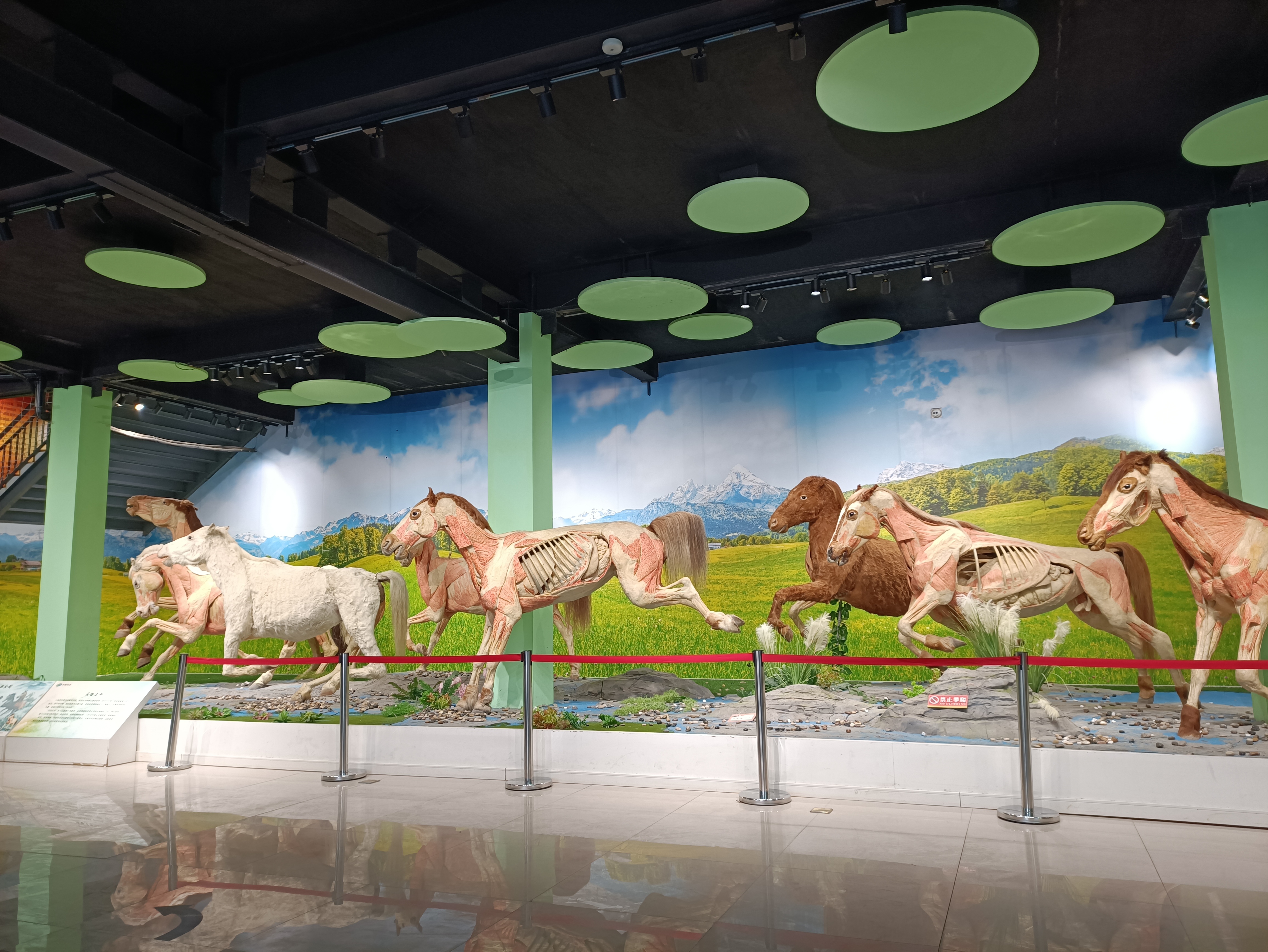 不负*光春**，来郑州人体科学院探寻生命进化证据