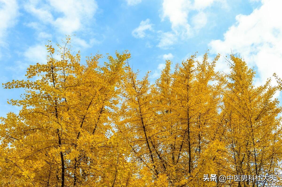 肾虚型前列腺炎的中药方剂,肾虚引起前列腺炎的中成药