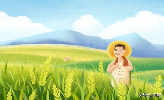 种粮补贴和种地补贴是一回事么,种地大户粮食补贴到底有没有