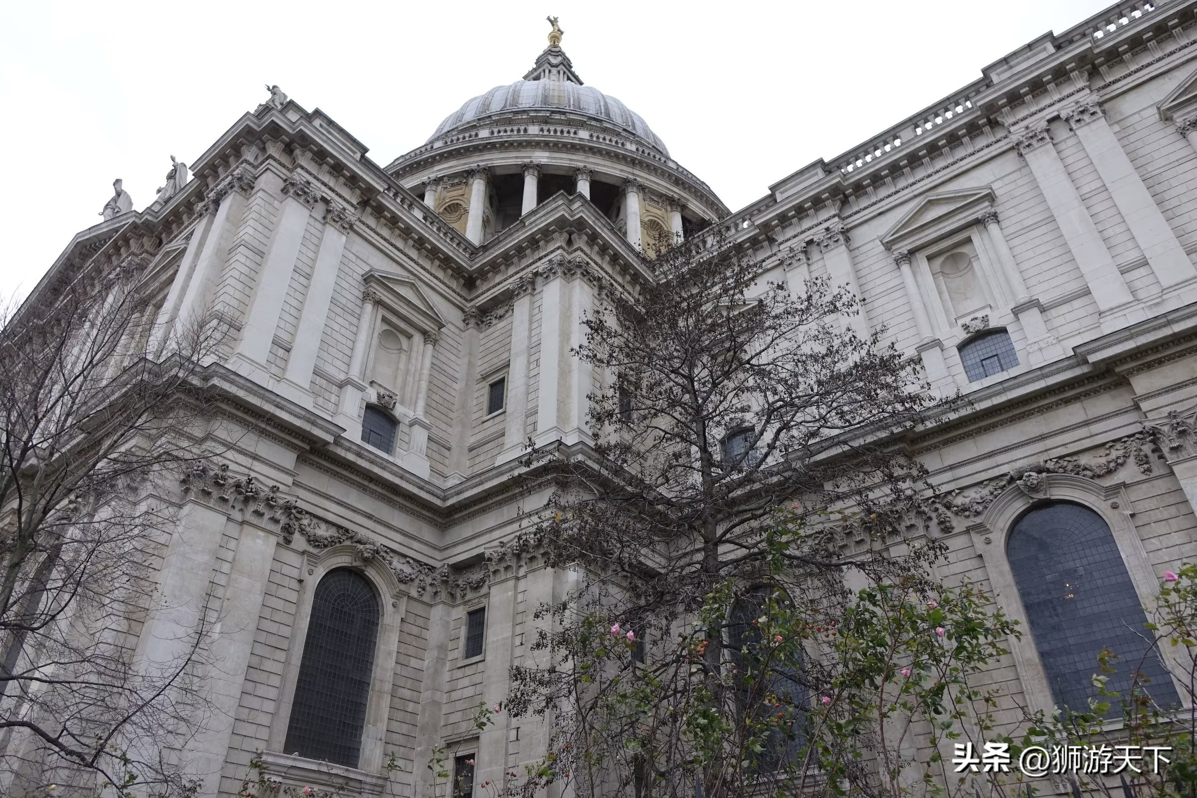 英国陪读能做什么,英国陪读