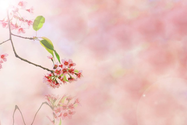 假如老公背叛了你,假如老公背叛要不要问清楚真相