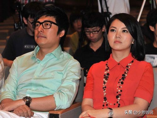 王岳伦投资多少钱,王岳伦存款