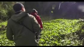 山村十大诡异怪事件,四川大山发现的怪物