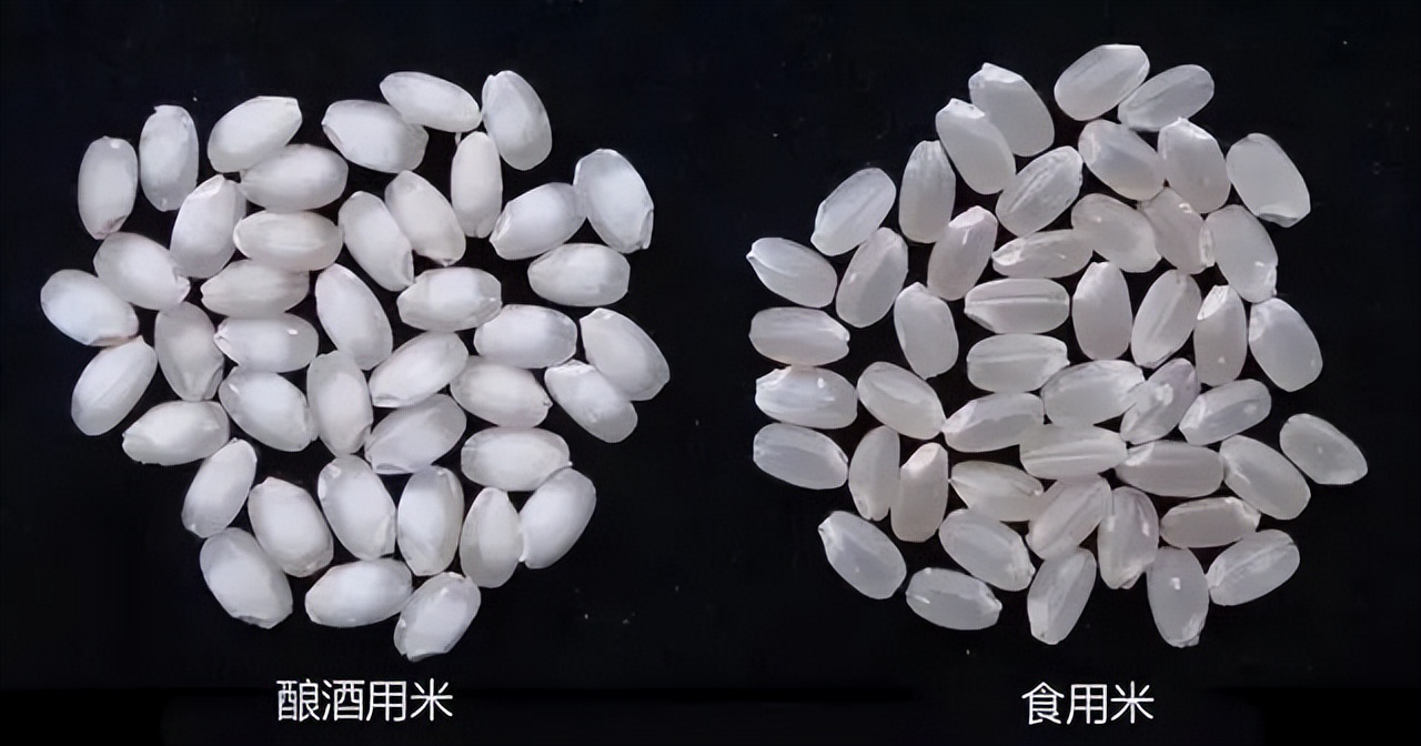 日本清酒为什么这么贵,日本酒为什么这么贵