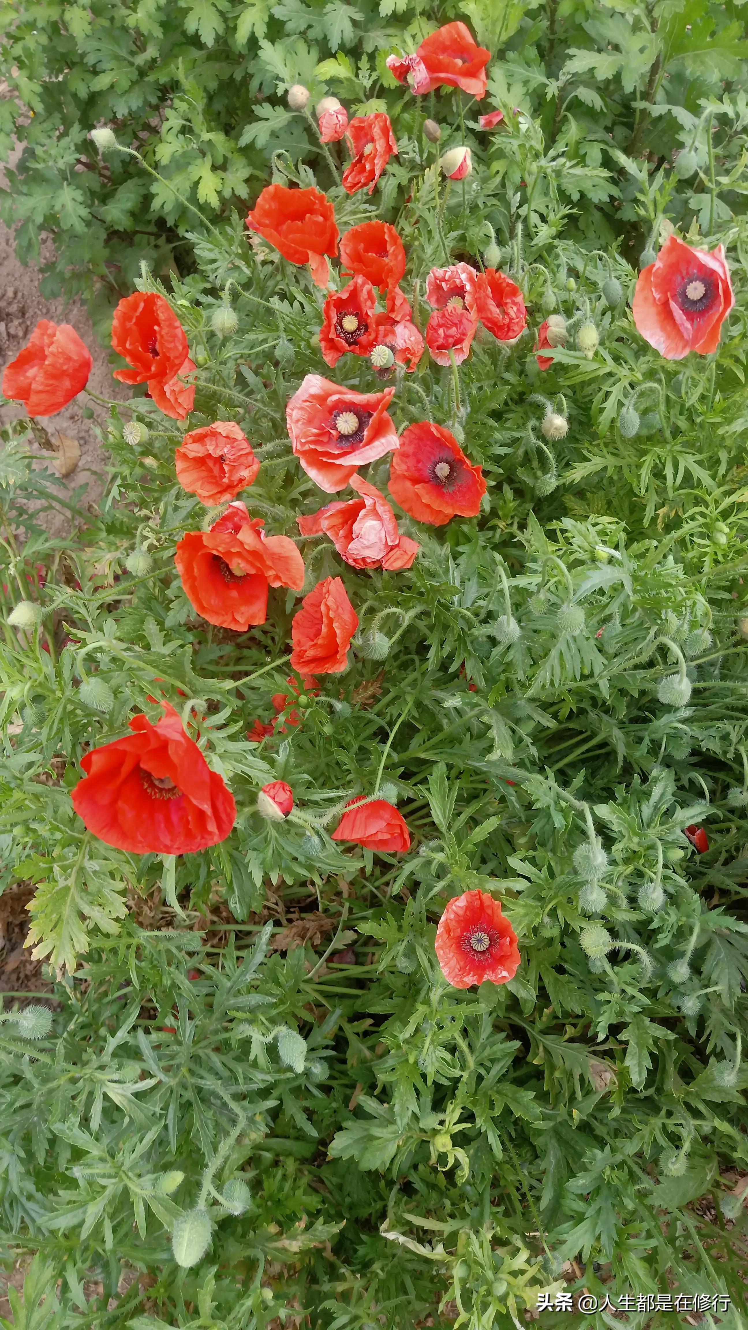 教大家一种拒绝的方法,拒绝别人的七个技巧教学