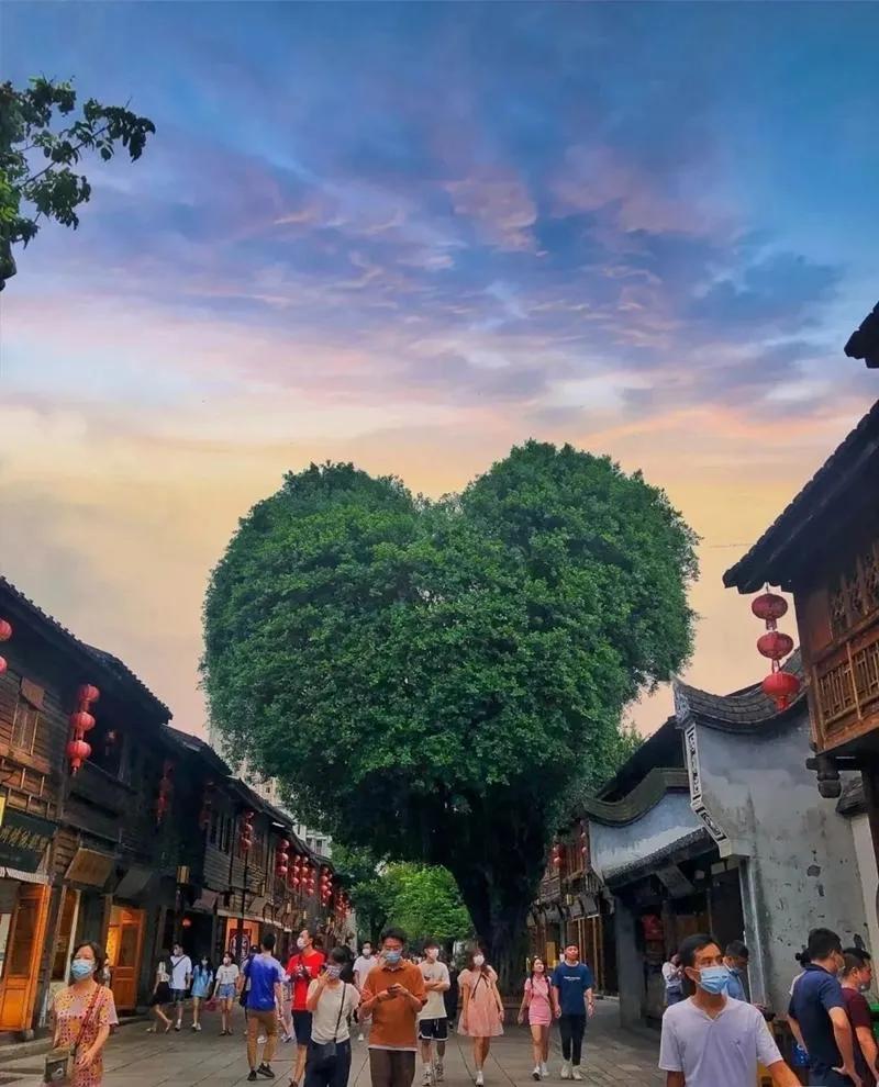 美丽的三坊七巷,我眼中的三坊七巷作文