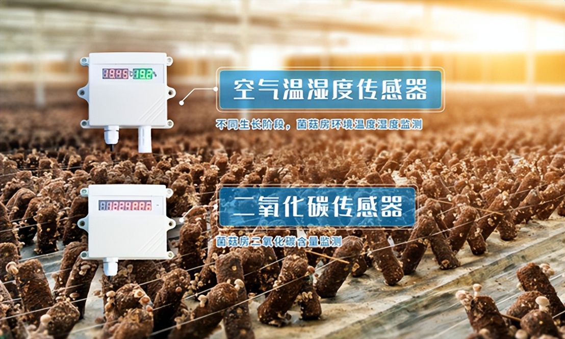 食用菌大棚控温系统,智能大棚智能监控系统
