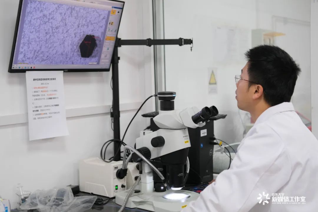 开学季春归校园再启新程,开学季辞旧迎新