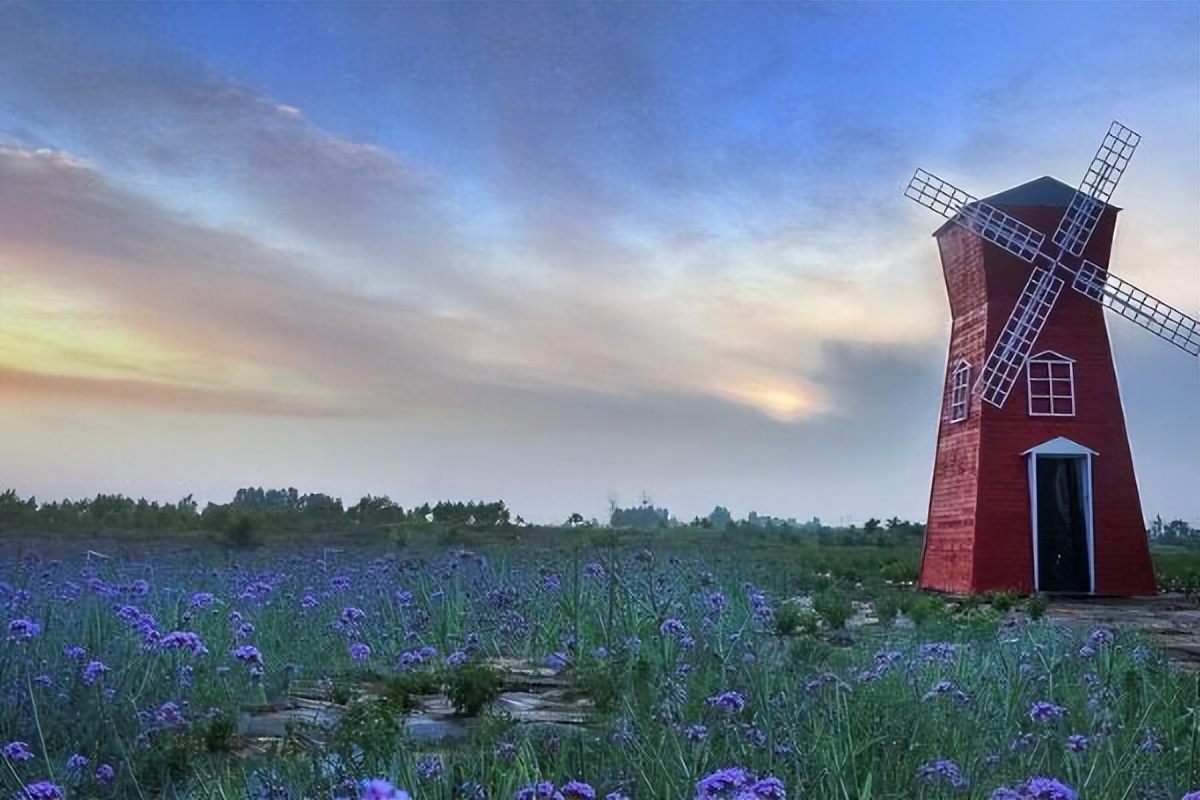 只赚不赔的投资坑,只赚不赔的投资是骗人的吗