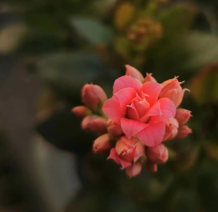 摄影图片二次构图,一张照片二次构图就会眼前一亮