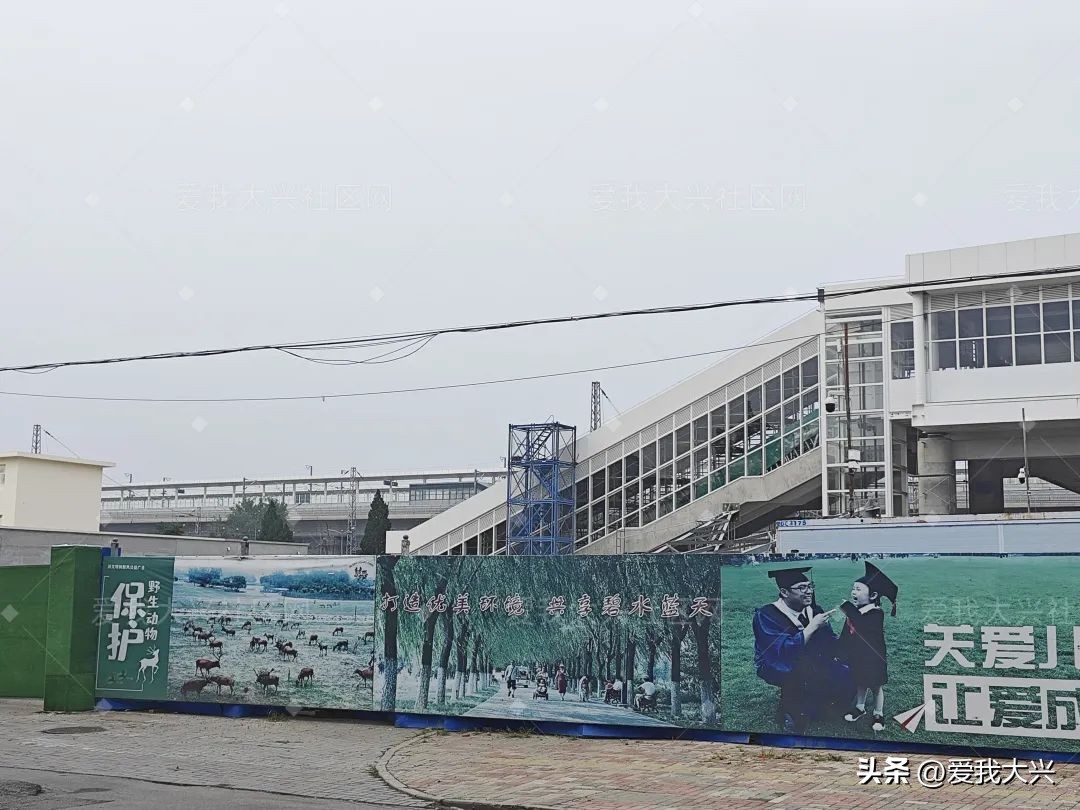 两年了，大兴这个项目建的如何了？预计...