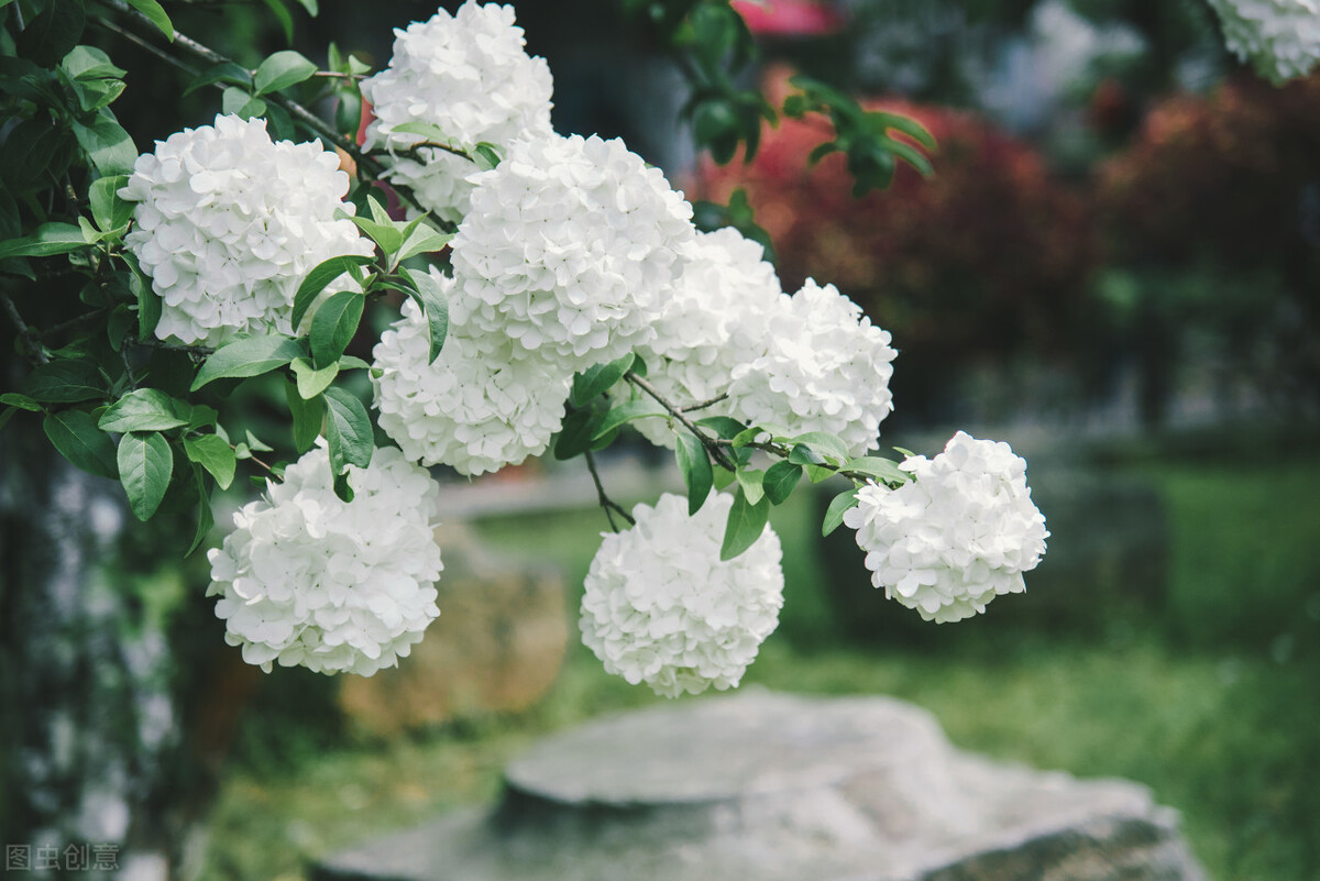 中华成语故事典故大全100篇,成语典故故事大全集