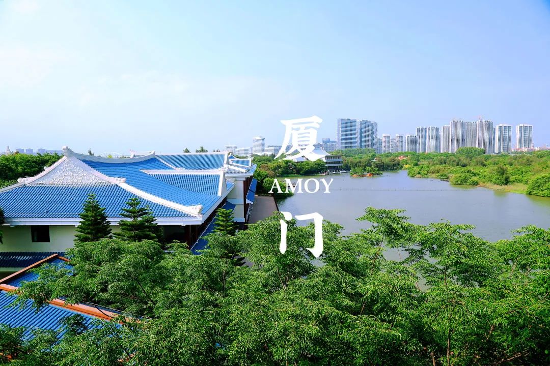 厦门最有特色的酒店,厦门最有体验感的酒店