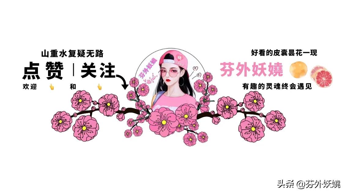 月季花抗病能力强又有香味的品种,18种花卉好看品种