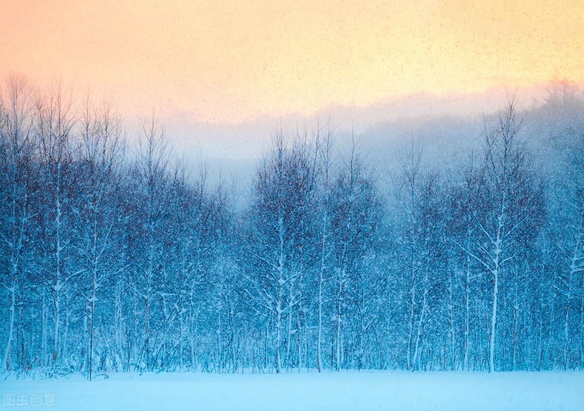 清理大脑的6个有效方法,清洁大脑的有效方法