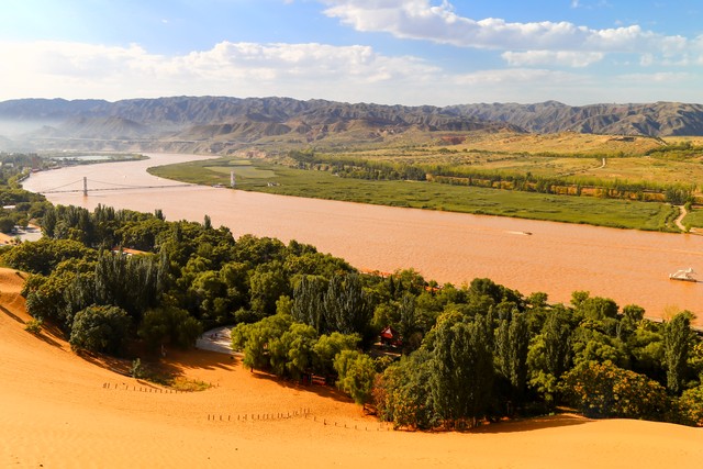 正宗宁夏红枸杞风景,宁夏红色枸杞