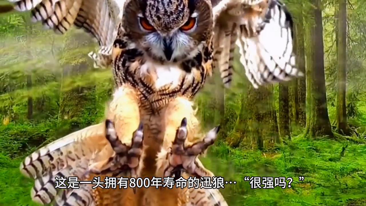 炼神领域完整版,炼神领域小说